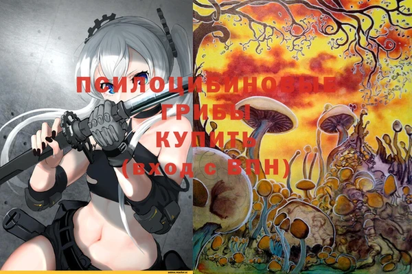 мяу мяу мука Карпинск