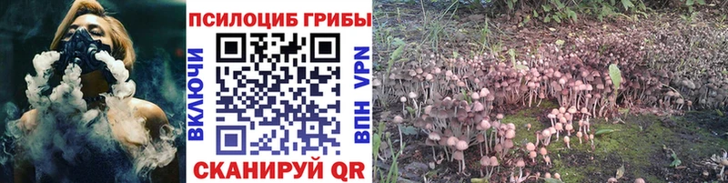Галлюциногенные грибы мухоморы  Купить закладки  Вилюйск 